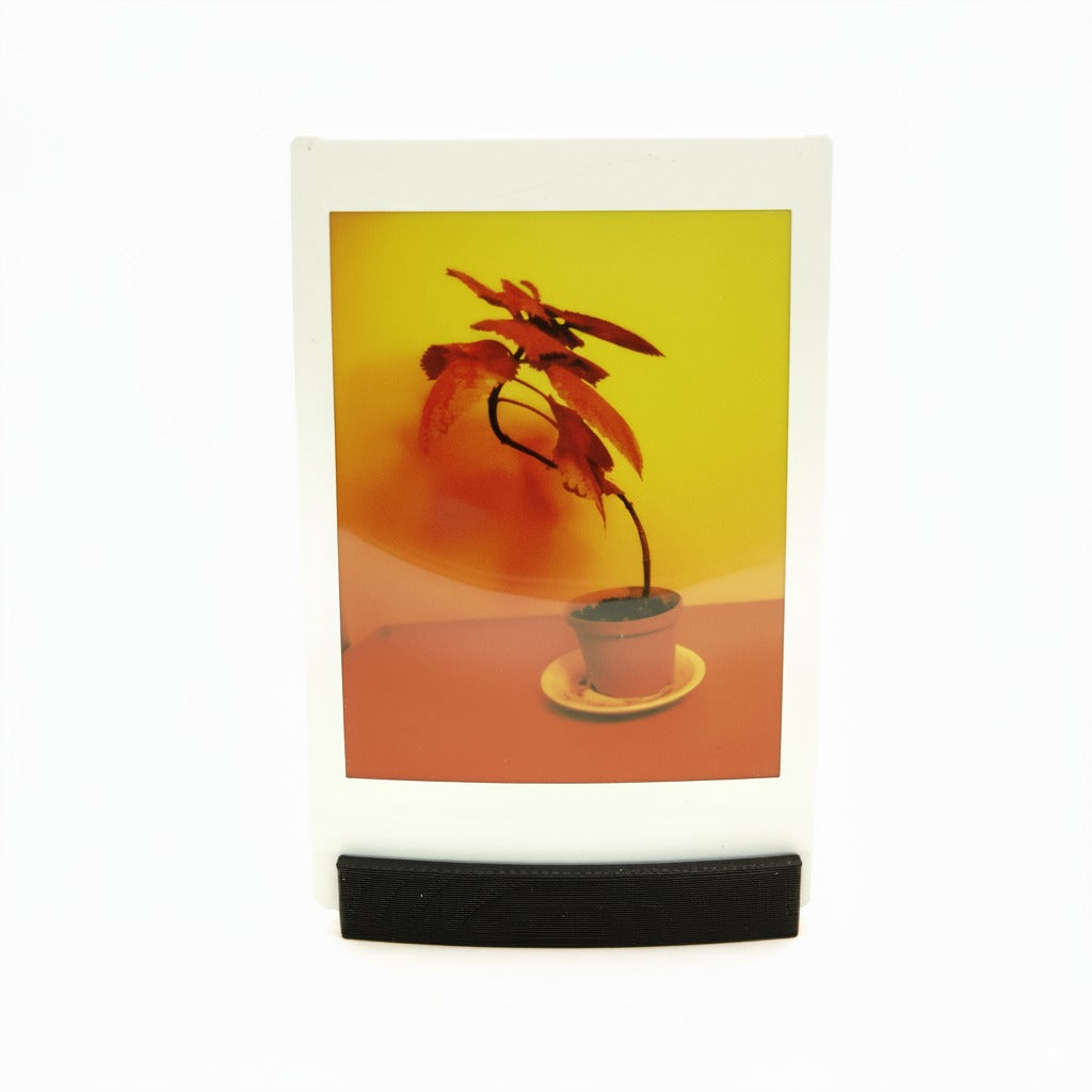 Photo Stand Set (3-piece) for Polaroid, Instax Wide & Mini